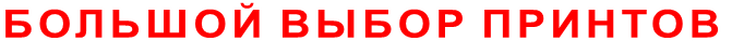 БОЛЬШОЙ ВЫБОР ПРИНТОВ