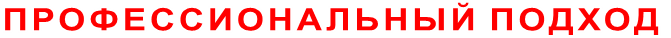 ПРОФЕССИОНАЛЬНЫЙ ПОДХОД